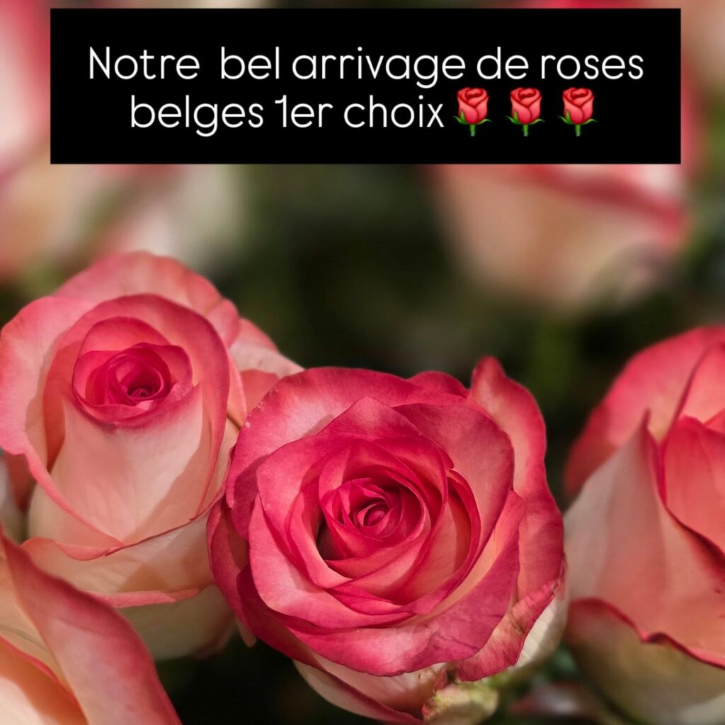 Instagram post from cotejardin_nivelles. This post is in position 0.