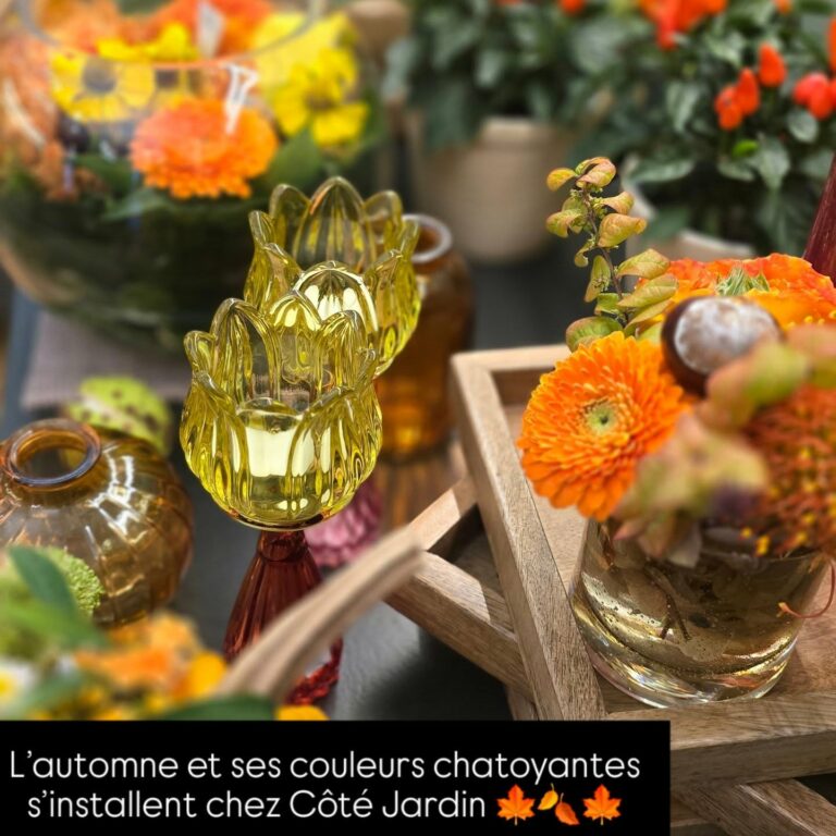 Instagram post from cotejardin_nivelles. This post is in position 3.