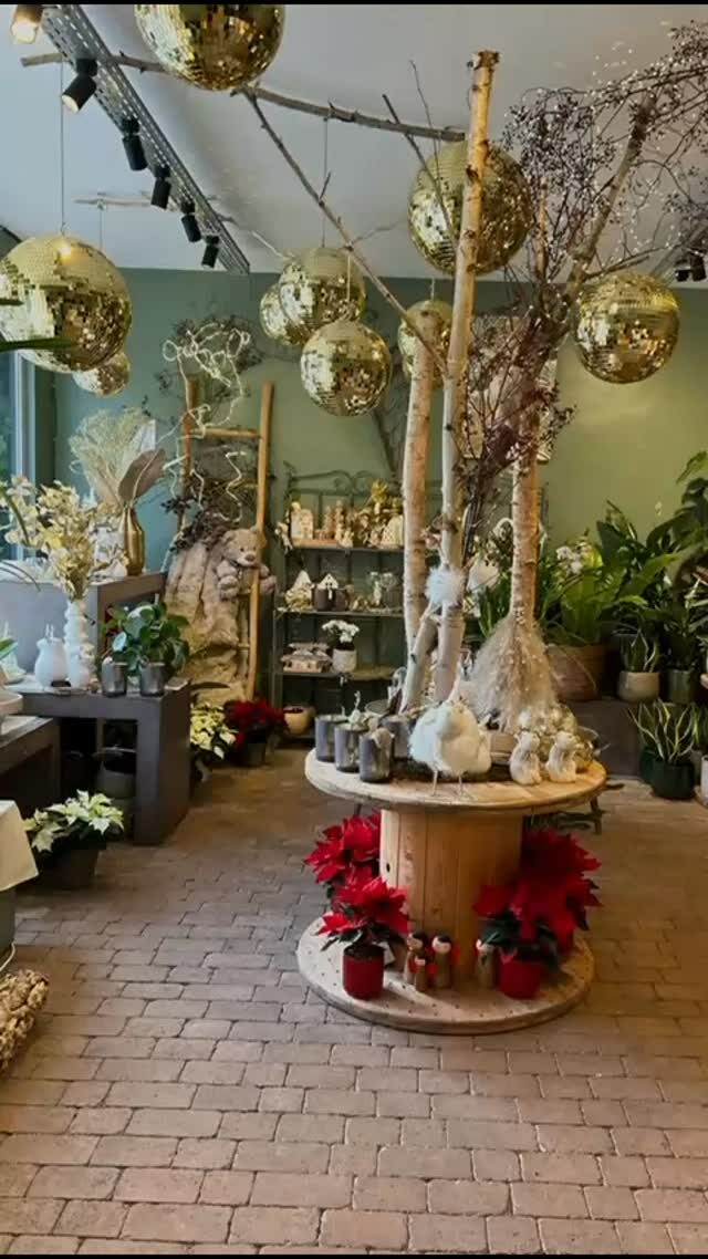 Instagram post from cotejardin_nivelles. This post is in position 0.