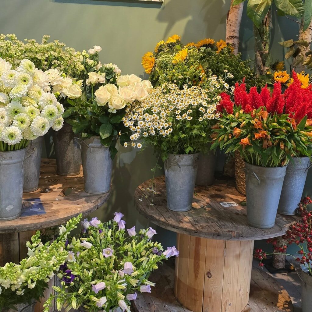 Instagram post from cotejardin_nivelles. This post is in position 1.