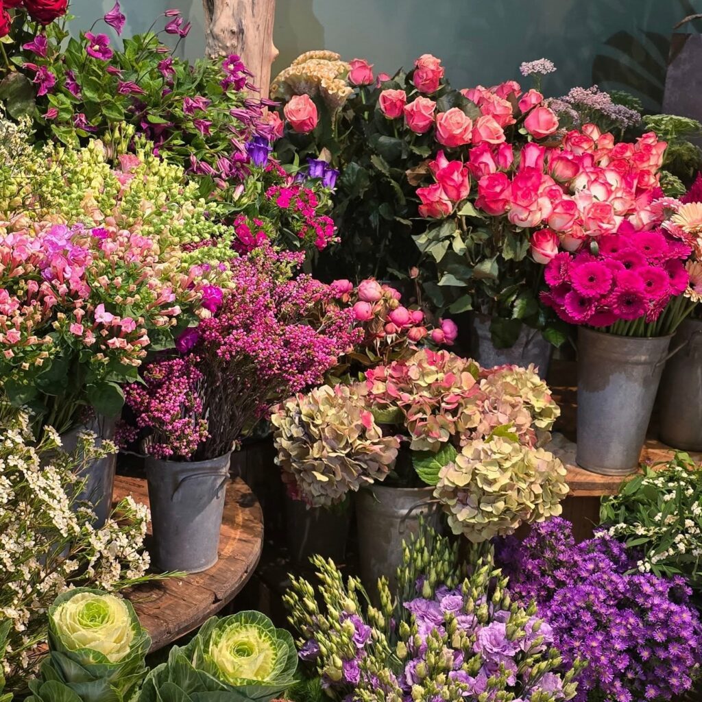 Instagram post from cotejardin_nivelles. This post is in position 0.