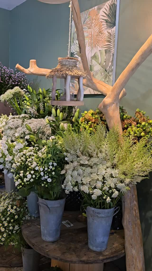 Instagram post from cotejardin_nivelles. This post is in position 1.